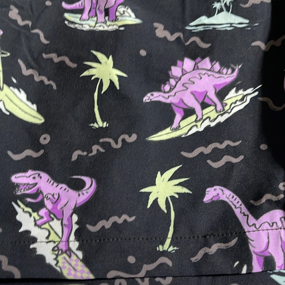 NWT Chubbies The History Lessons Dino swimtrunks M - Picture 3 of 6